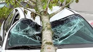 Que faire en cas de dégâts causés par une tempête ?